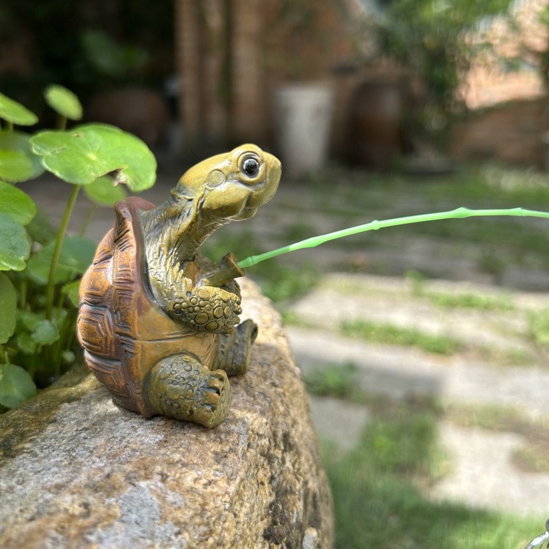 Turtle Fishing Fish Tank Aquar - Fish Aquarium Home recension och pris