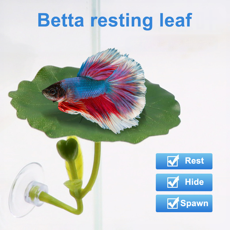 1PC Betta Fish Leaf Hammock Gr - Aquarium Fish Betta recension och pris